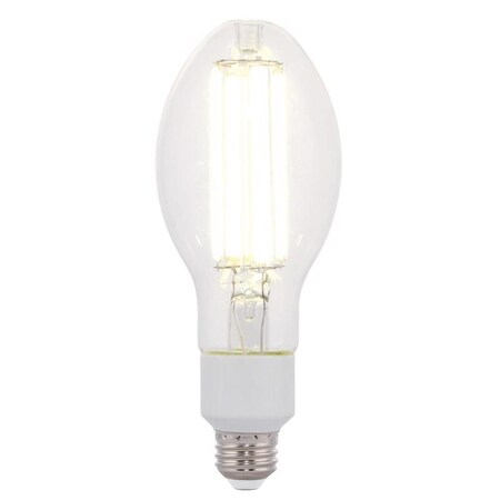 Westinghouse Westinghouse ED23.5 E26 (Medium) Filament LED Bulb Daylight 200 Watt Equivalence 1 pk 5252000